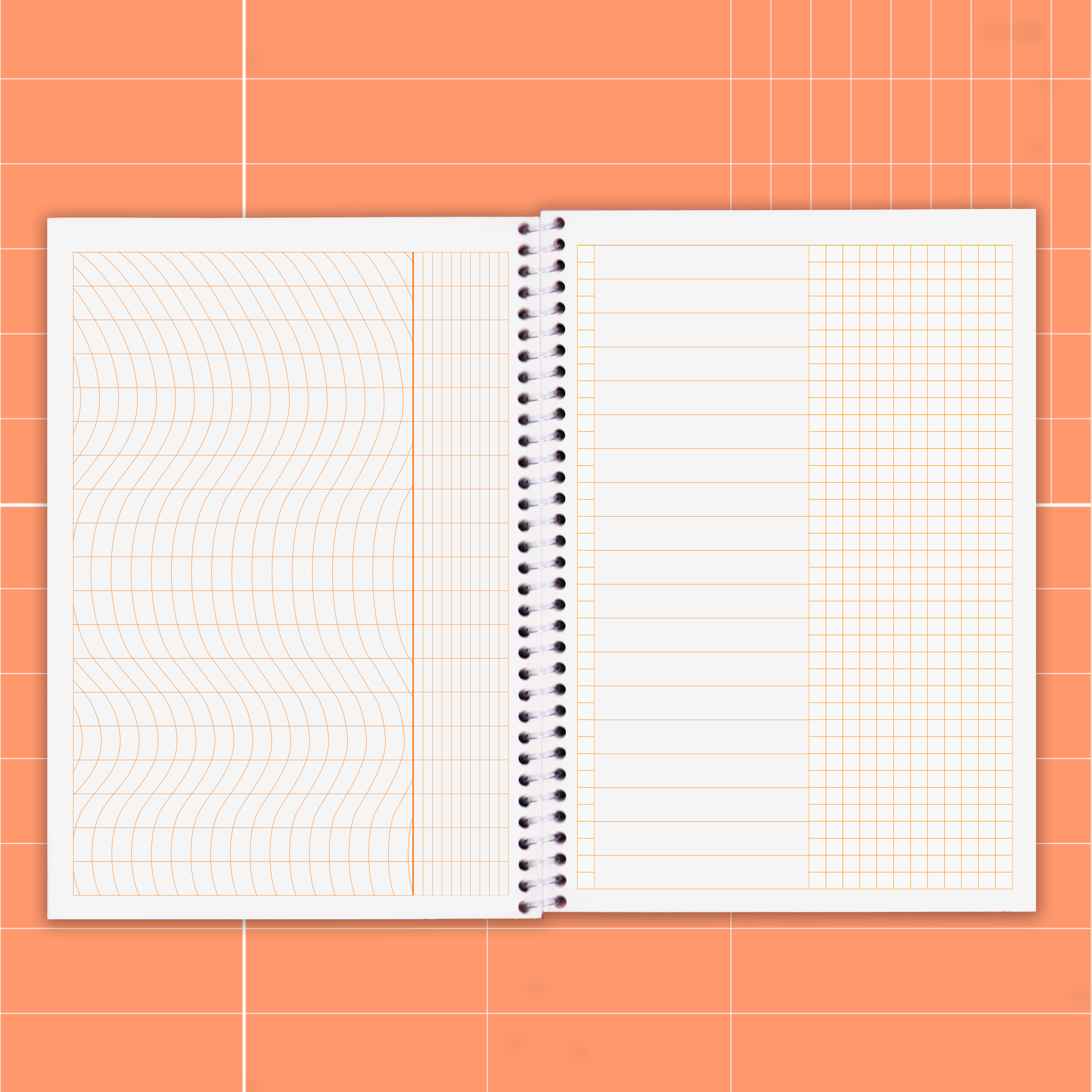 Notebook-Orange-open