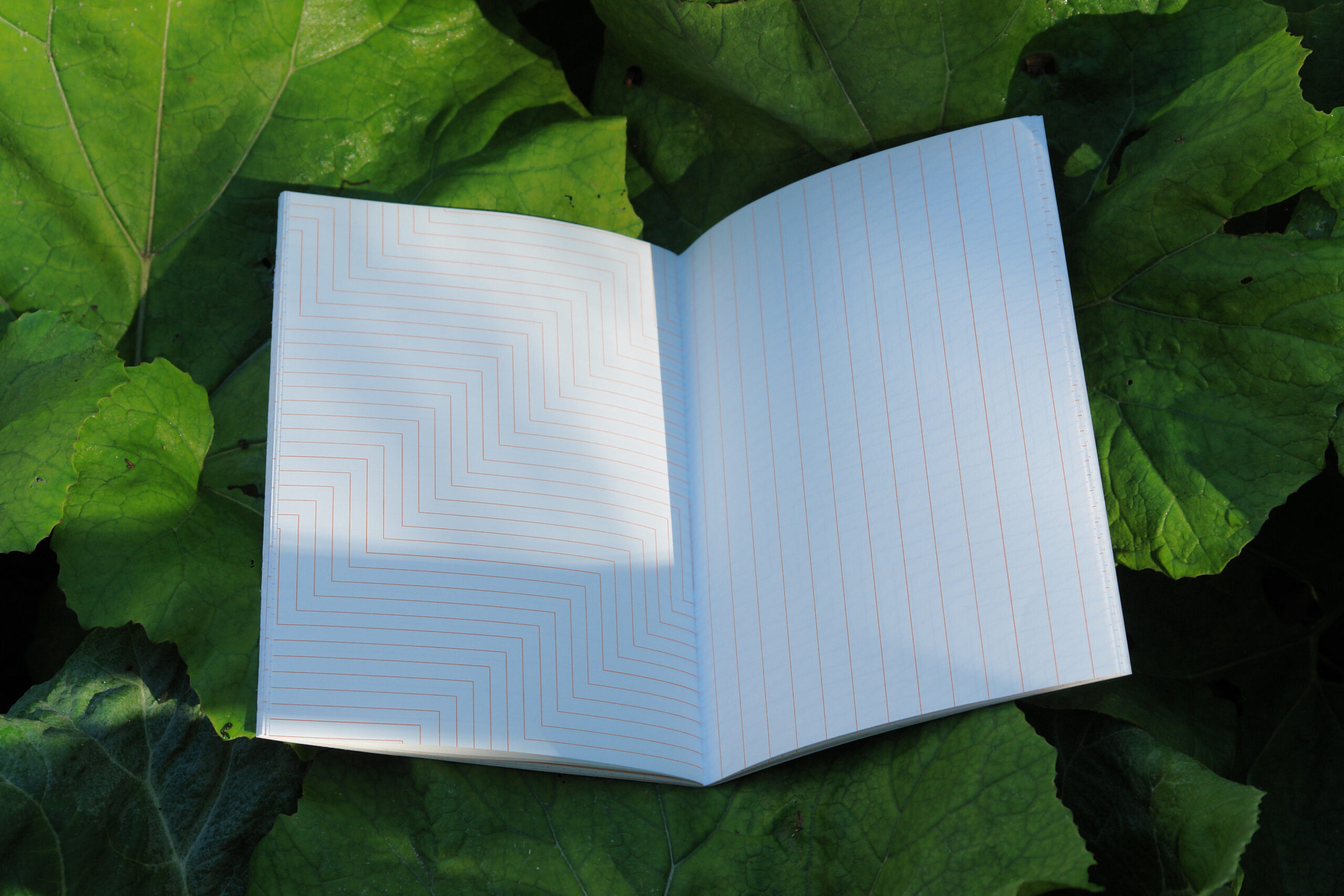 The duotone covers: Circles and Squares