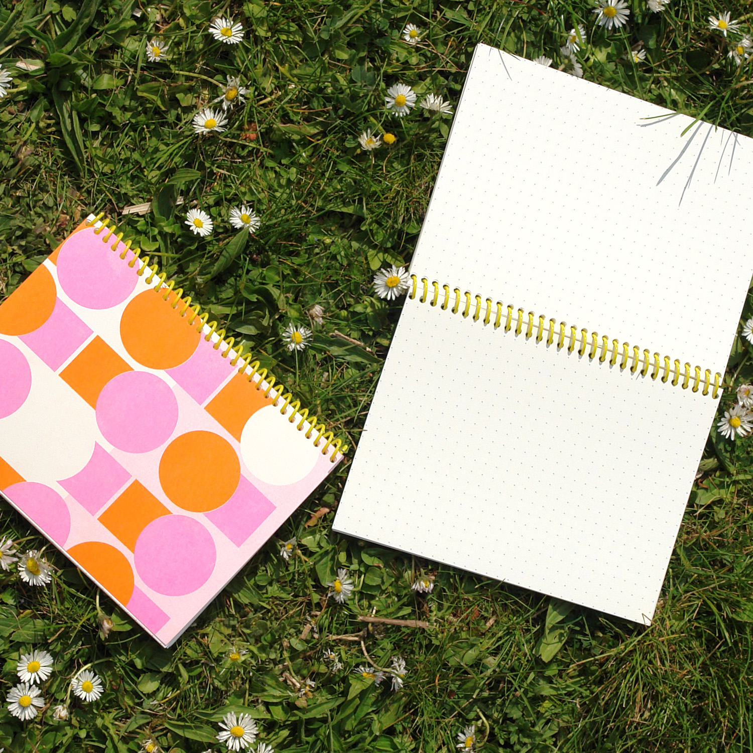 Notebook Hi Five, Tandemm sisters
