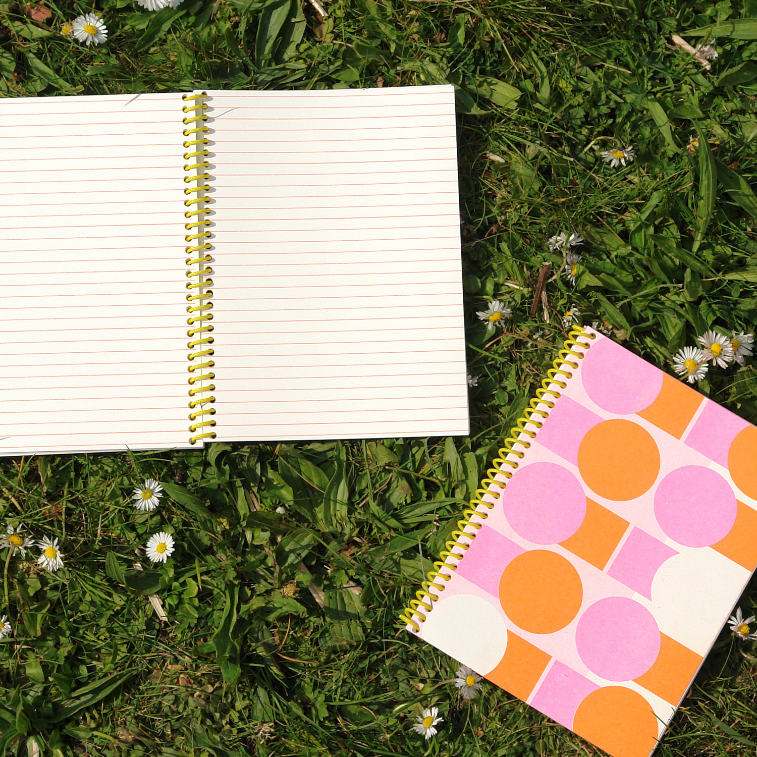 Notebook Hi Five, Tandemm sisters